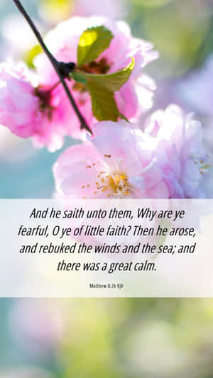 Great Calm Bible Verse Matthew826 Wallpaper