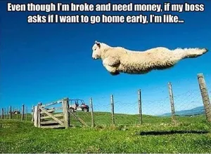 “great Customer Service Ensures Satisfaction” Wallpaper