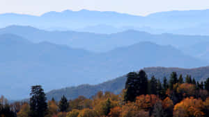 Great Smoky Mountains National Park Covered Wallpaper