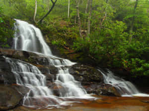 Great Smoky Mountains National Park Rock Formation Wallpaper