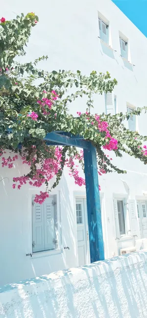 Greek Island Bougainvillea Charm.jpg Wallpaper