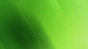 Green Abstract Background With Blurred Lines Wallpaper