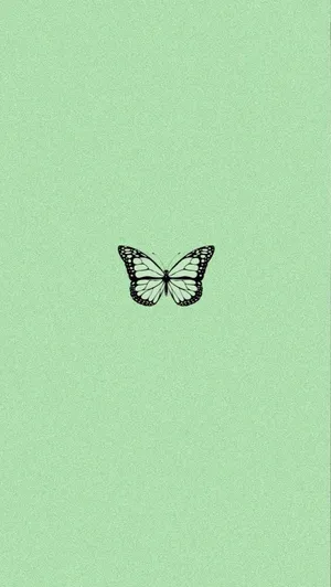 Green Aesthetic Butterfly Wallpaper Wallpaper