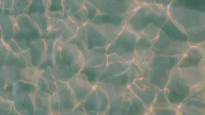 Green Aesthetic Desktop Water Wallpaper