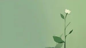 Green Aesthetic Floral Background Wallpaper