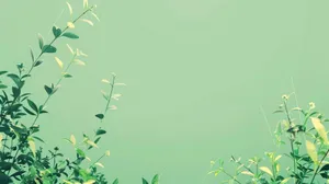 Green Aesthetic Plant Backdrop Wallpaper