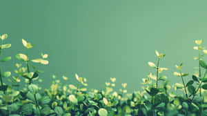 Green Aesthetic Plant Growth Background Wallpaper