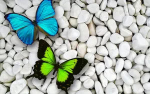 Green And Blue Butterflies Wallpaper