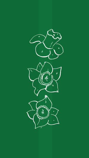 Green Background Floral Sketch Wallpaper