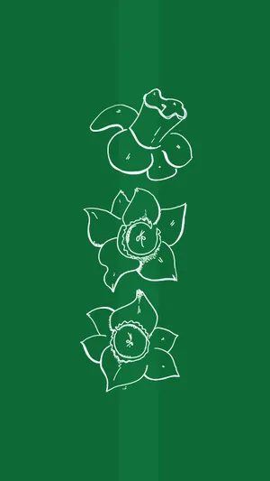 Green Background Floral Sketch Wallpaper