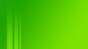 Green Background With A Horizontal Line Wallpaper