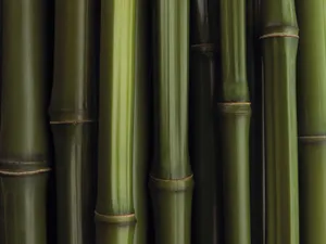 Green Bamboo Sticks Against A Vibrant Red Background Wallpaper