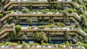 Green Buildings In A Sustainable City Wallpaper