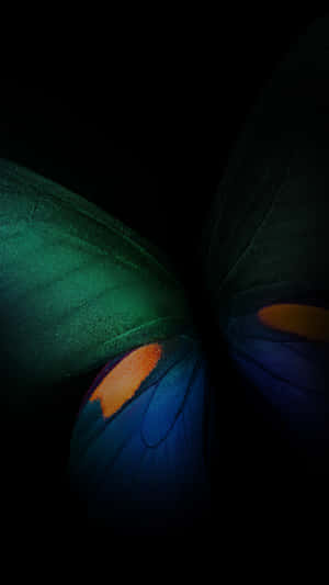 Green Butterfly Black Background Iphone Wallpaper