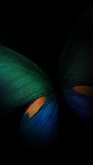 Green Butterfly Black Background Iphone Wallpaper