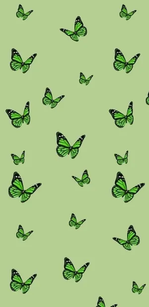 Green Butterfly Flying Around Wallpaper
