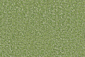 Green Carpet Texture Wallpaper