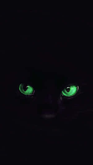 Green Cat Eyes Black Cat Wallpaper