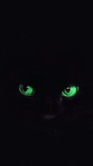 Green Cat Eyes Black Cat Wallpaper