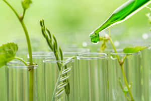 Green Chemistry Concept In A Laboratory Setting Wallpaper