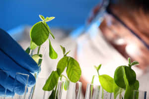 Green Chemistry In Action Wallpaper