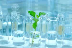 Green Chemistry Laboratory Set-up Wallpaper