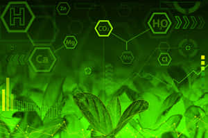 Green Chemistry Laboratory Setup Wallpaper