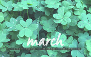 Green Clover March Calendar Wallpaper Wallpaper