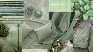 Green Color Palette - Sage Green Wallpaper