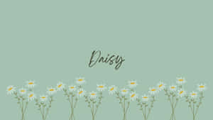 Green Daisy Aesthetic Background Wallpaper