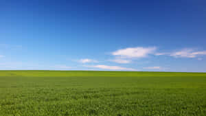 Green Farmland Under Blue Sky Wallpaper