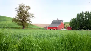 Green Farmland With Red Barn Wallpaper