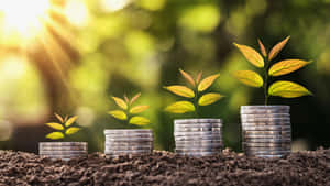 Green Finance Concept Wallpaper