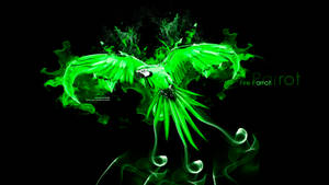 Green Fire Parrot Wallpaper