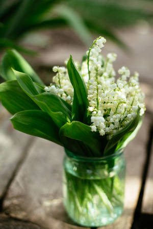 Green Floral Small Flowers Wallpaper