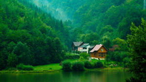 Green Forest Lake House Wallpaper