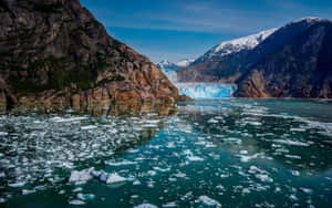 Green Glacier Bay National Park Wallpaper