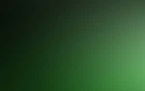 Green Gradient Background Wallpaper