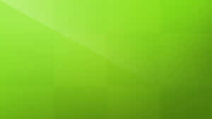 Green Gradient Wallpaper Wallpaper