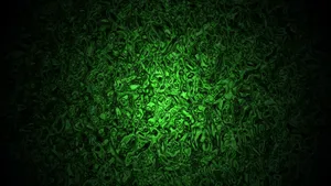 Green Grass Background Wallpaper