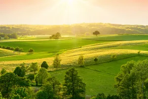 Green Grass Countryside In Bangalore Wallpaper