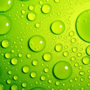 Green Ipad [wallpaper] Wallpaper