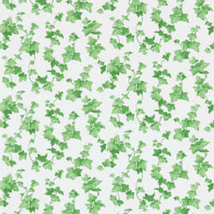 Green Ivy Pattern Background Wallpaper