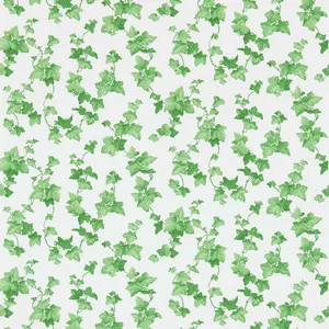 Green Ivy Pattern Background Wallpaper