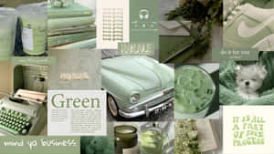 Green Junk Inspiration Wallpaper