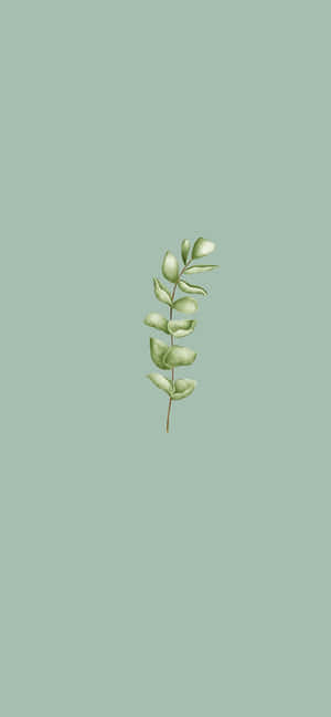 Green Leaf Sprig Simple Background.jpg Wallpaper