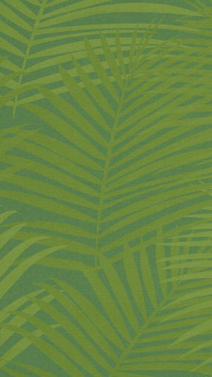 Green Leaves Ios 6 Wallpaper
