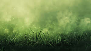 Green Misty Meadow Aesthetic Wallpaper