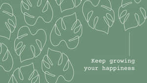 Green Monstera Leaves Inspiration Wallpaper