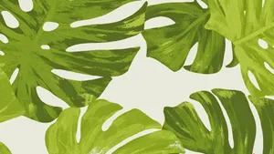 Green Monstera Leaves Pattern Wallpaper